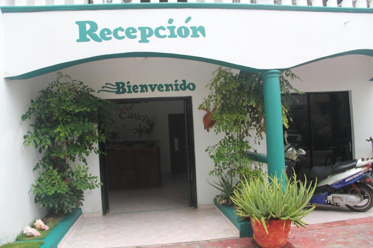 El Caucho Hotel Boca Chica Kültér fotó